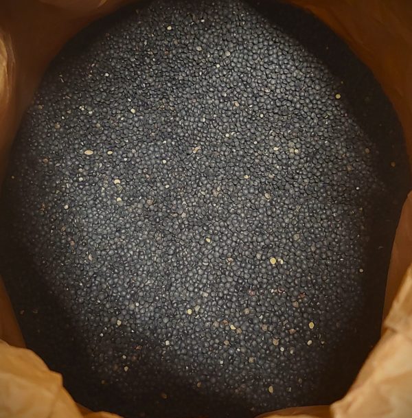 Lentilles Beluga