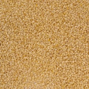 brown and white area rug