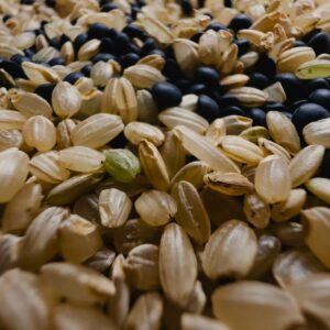a close up of a bunch of grains